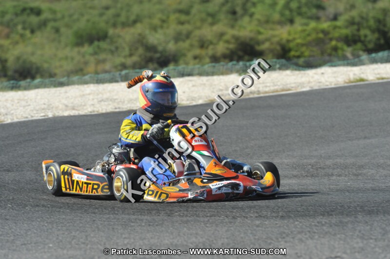 DSC (2666).JPG